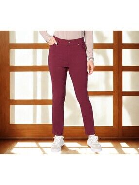 Denim & Co. Signature Regular Smart Stretch Pants Size 1X